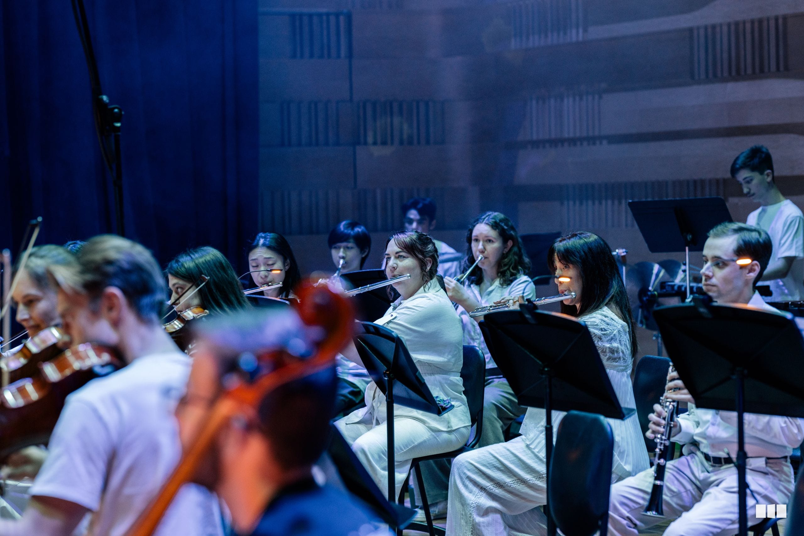 A section of flute and woodwind players perform together during an orchestral rehearsal or concert on stage.