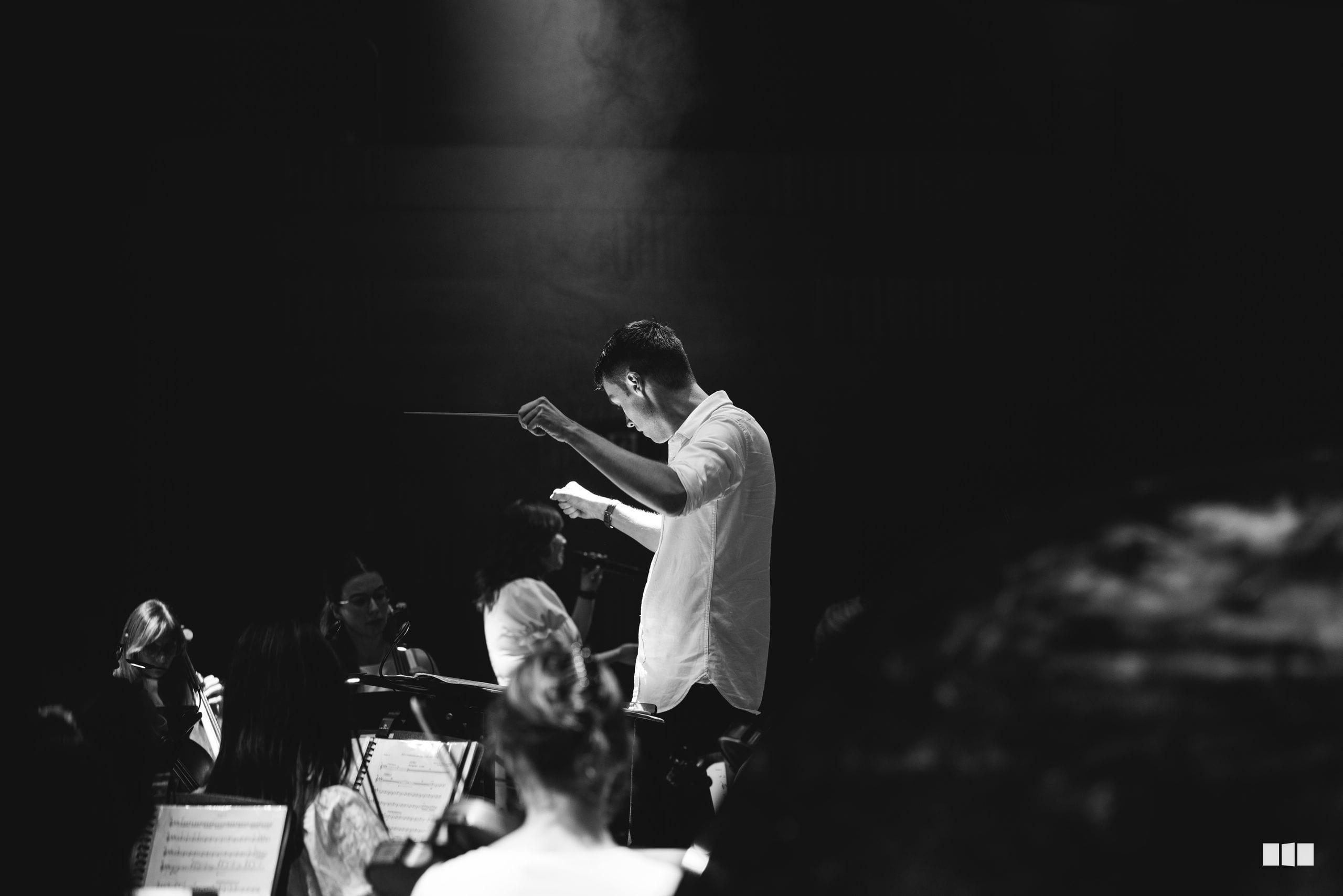 A conductor leads an orchestra in performance, gesturing expressively while musicians follow their score.