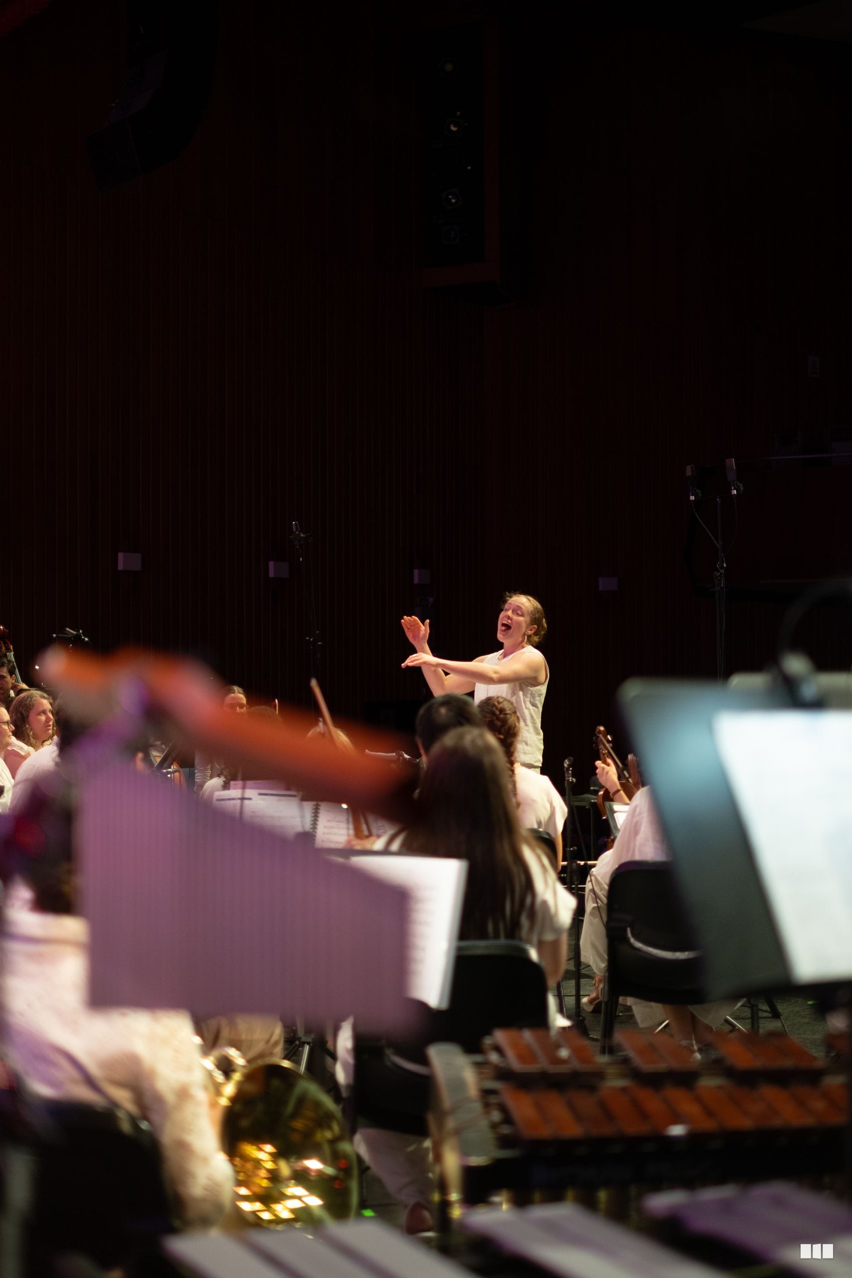 A conductor leads the orchestra with expressive gestures during a performance in a concert hall.