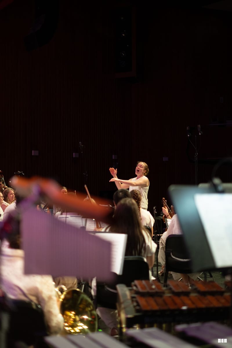 A conductor leads the orchestra with expressive gestures during a performance in a concert hall.
