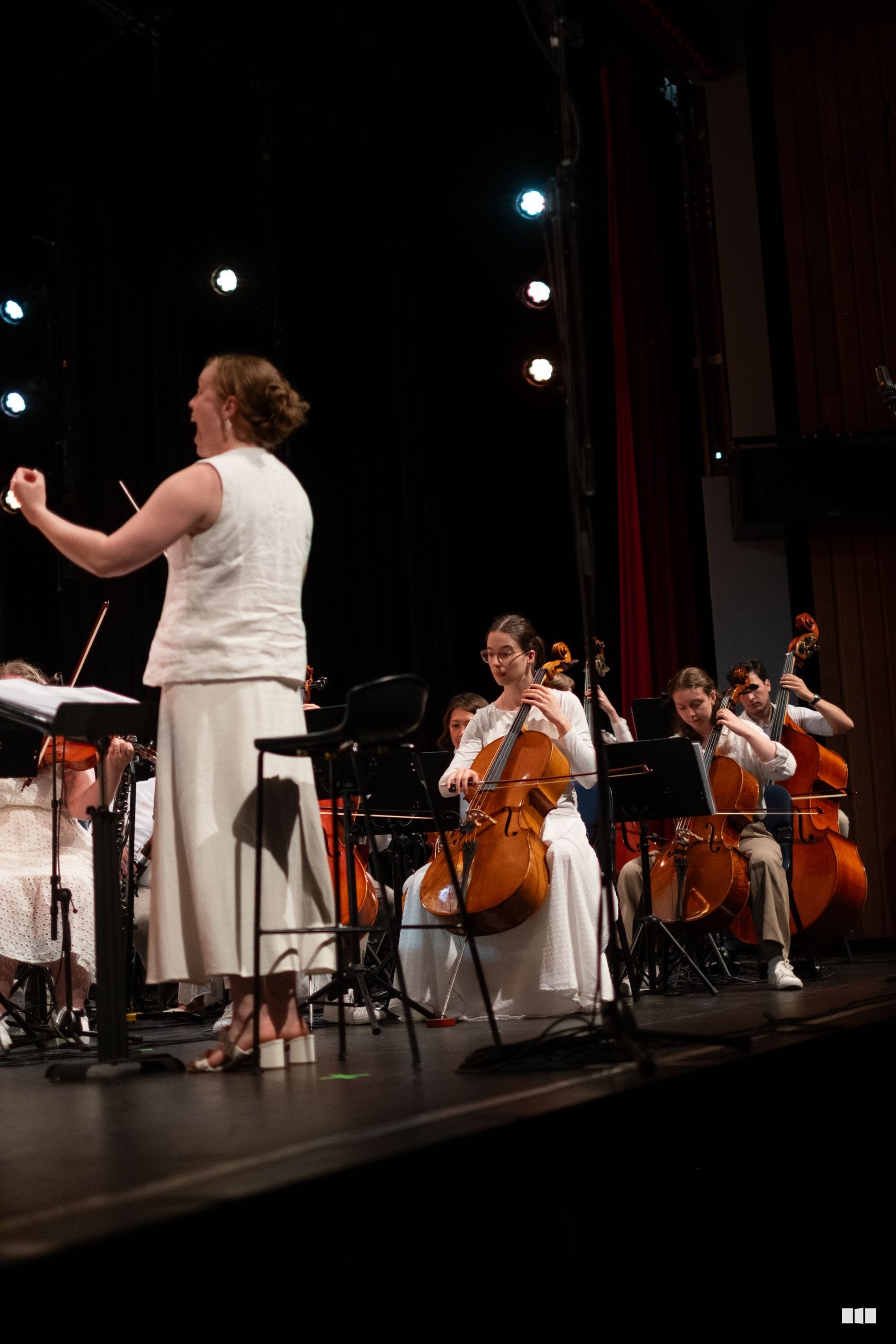 A conductor leads a string section during an orchestral performance on stage.