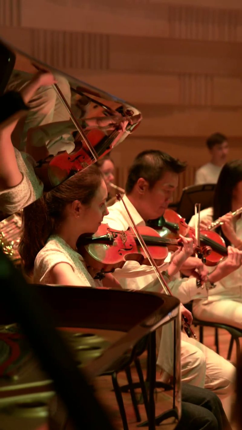 Young violinists performing together during an orchestral rehearsal or concert in a concert hall setting.