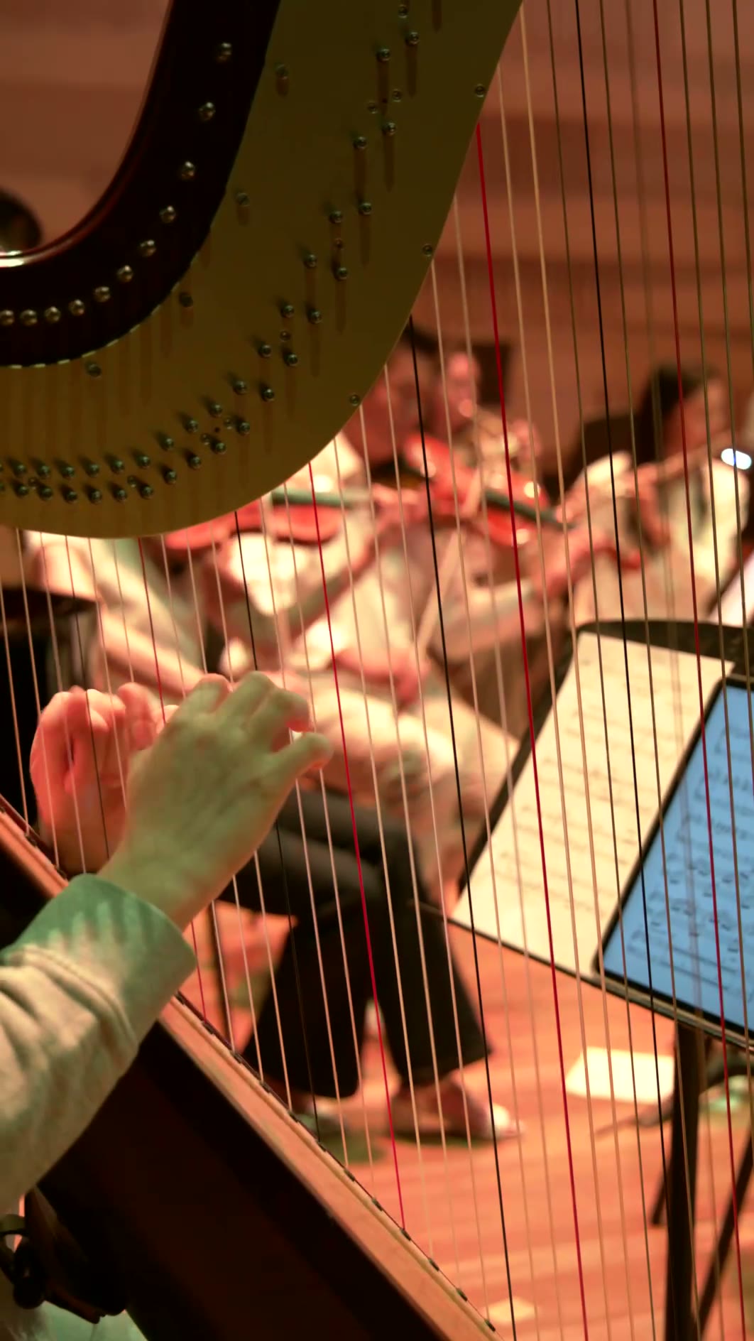 A harpist's hand plucks the strings of a concert grand harp during a performance, with warm stage lighting illuminating the instrument and blurred orchestra members in the background.