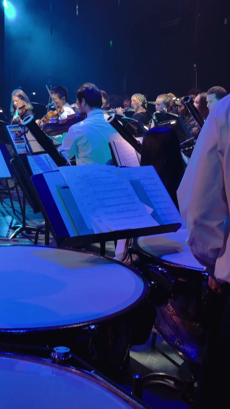 A group of musicians performing in a symphony orchestra setting.