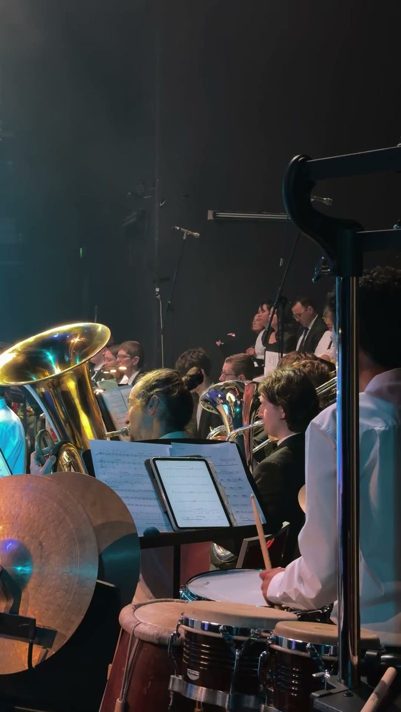 A group of musicians performing with various brass instruments in a symphony setting.
