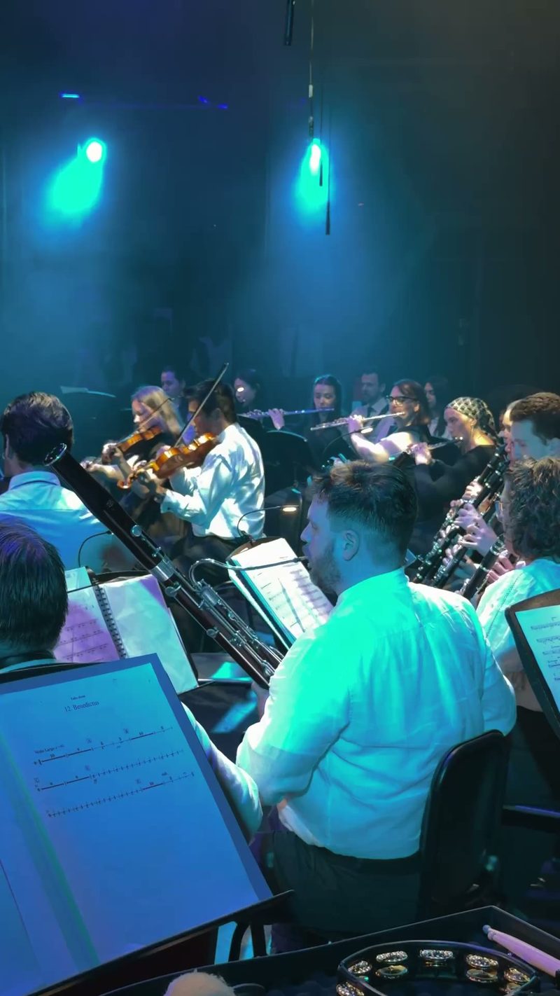 Musicians performing together in an orchestral setting.