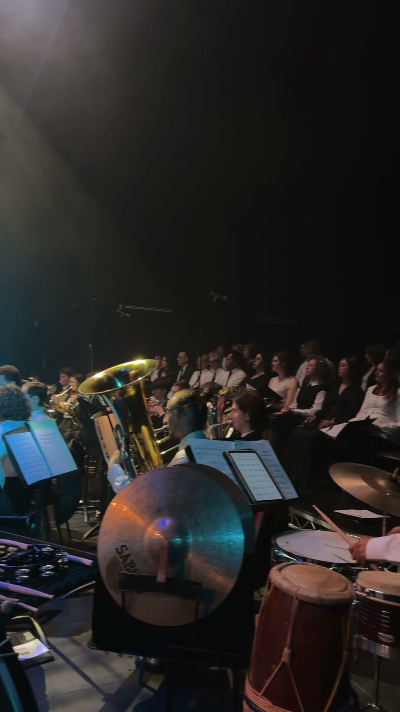 A symphony orchestra performs on stage, with musicians playing various instruments.