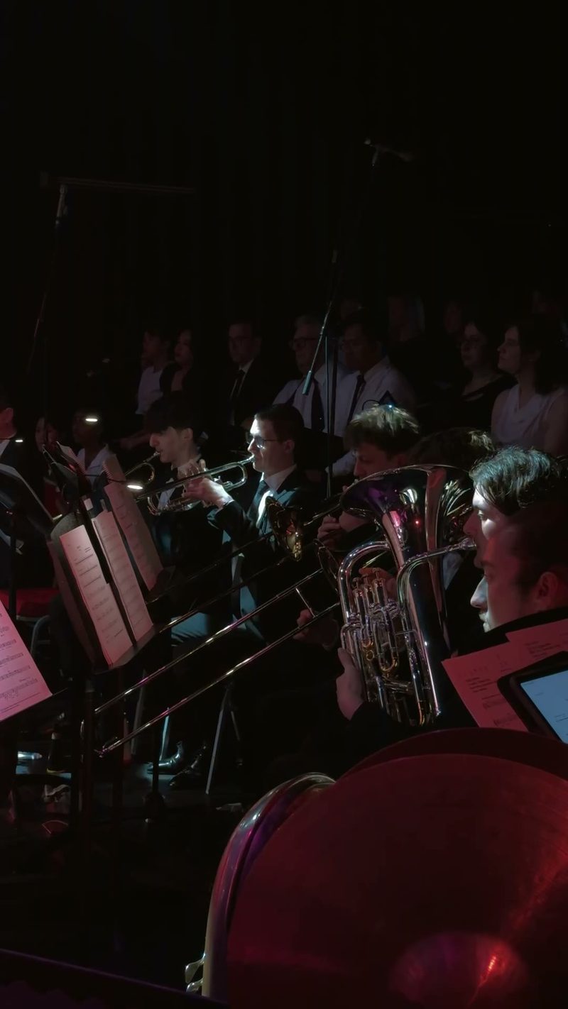 A group of musicians performing in an orchestral setting.