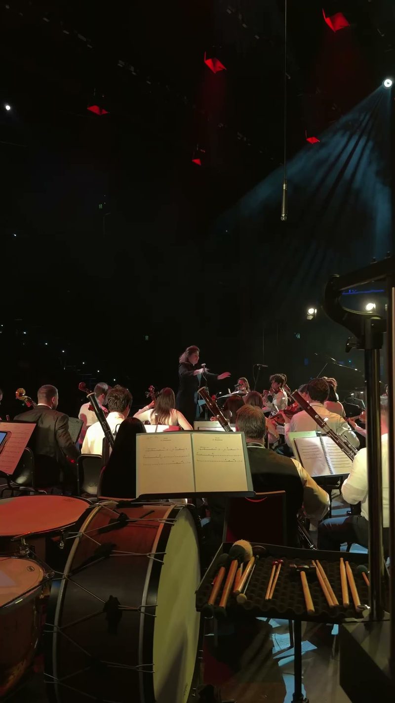 A conductor leads an orchestra during a performance.