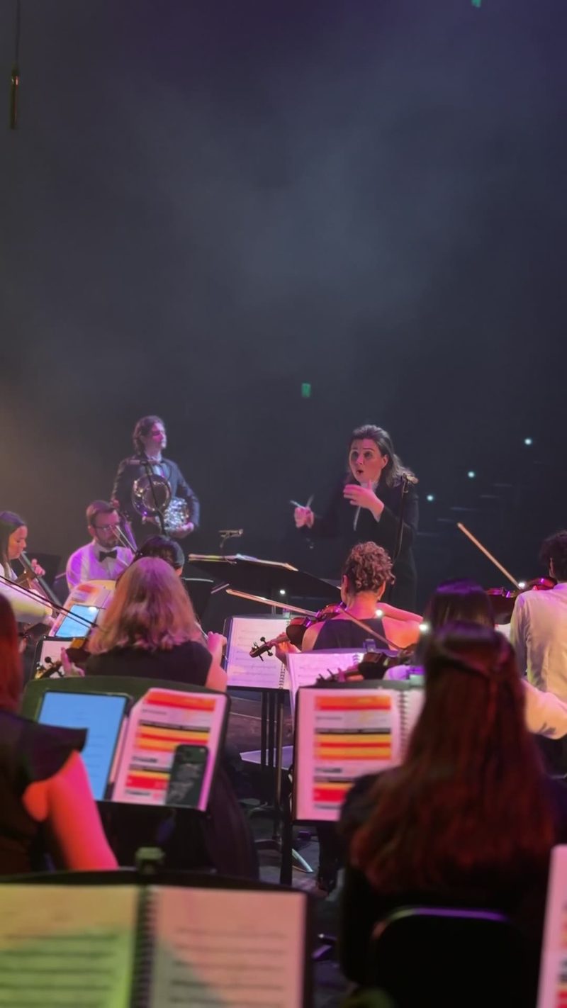 A conductor leads an orchestra during a performance.