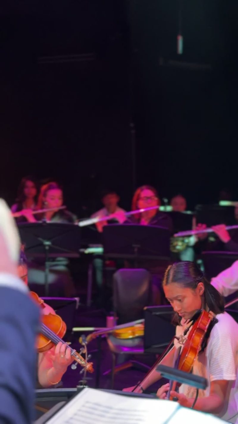 A group of musicians playing in an orchestra setting.