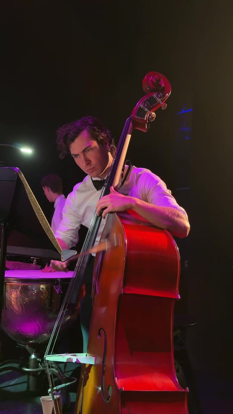 A focused musician plays the double bass during a performance.